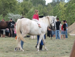 falunap2012_91_20180901
